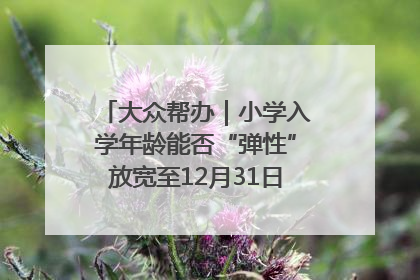 大众帮办｜小学入学年龄能否“弹性”放宽至12月31日？有地方已在探索