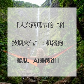 大兴西瓜节的“科技烟火气”：机器狗搬瓜、AI摊煎饼