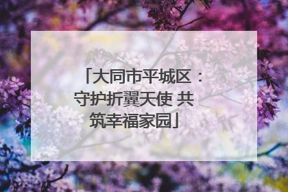 大同市平城区：守护折翼天使 共筑幸福家园