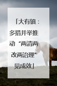 大有镇：多措并举推动“两清两改两治理”见成效
