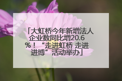 大虹桥今年新增法人企业数同比增20.6%！“走进虹桥 走进进博”活动举办