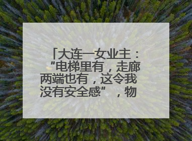 大连一女业主：“电梯里有，走廊两端也有，这令我没有安全感”，物业最新回应……