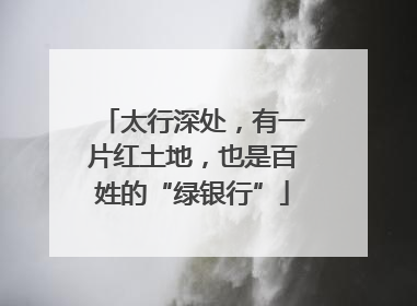太行深处，有一片红土地，也是百姓的“绿银行”