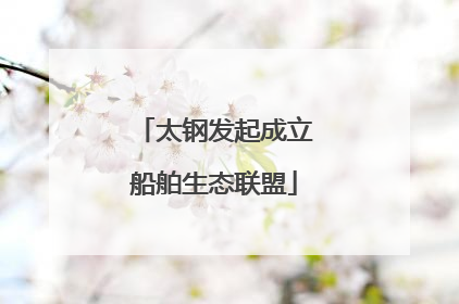 太钢发起成立船舶生态联盟