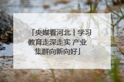 央媒看河北丨学习教育走深走实 产业集群向新向好
