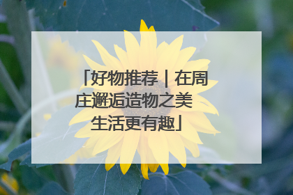 好物推荐｜在周庄邂逅造物之美 生活更有趣
