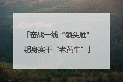奋战一线“领头雁” 躬身实干“老黄牛”