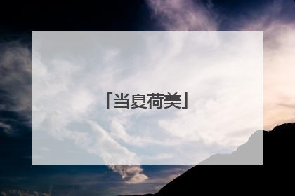 当夏荷美