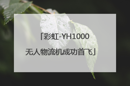 彩虹-YH1000无人物流机成功首飞