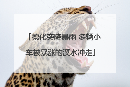 德化突降暴雨 多辆小车被暴涨的溪水冲走