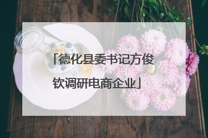 德化县委书记方俊钦调研电商企业