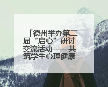 德州举办第二届“启心”研讨交流活动——共筑学生心理健康防护网