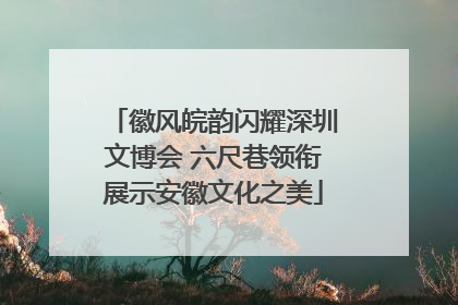 徽风皖韵闪耀深圳文博会 六尺巷领衔展示安徽文化之美