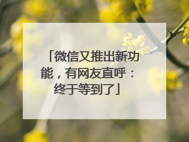 微信又推出新功能，有网友直呼：终于等到了