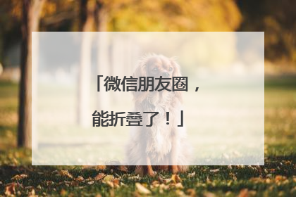 微信朋友圈，能折叠了！
