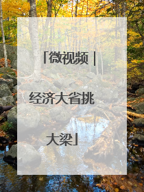 微视频｜经济大省挑大梁
