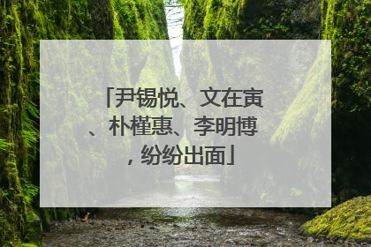尹锡悦、文在寅、朴槿惠、李明博，纷纷出面