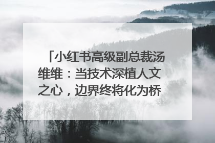 小红书高级副总裁汤维维：当技术深植人文之心，边界终将化为桥梁｜聚焦2025文化强国建设高峰论坛