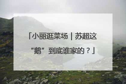小丽逛菜场｜苏超这“鹅”到底谁家的？
