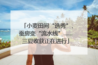 小麦田间“选秀”、蚕房变“流水线”……三夏收获正在进行