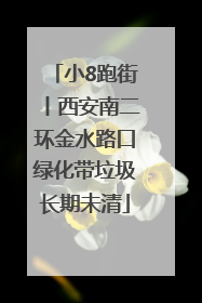 小8跑街丨西安南二环金水路口绿化带垃圾长期未清