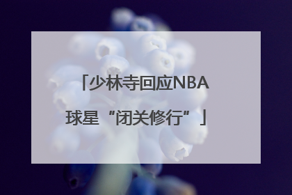 少林寺回应NBA球星“闭关修行”