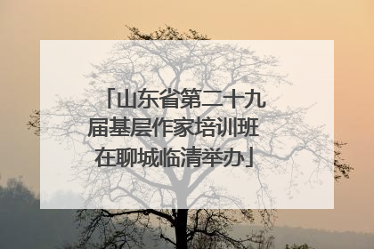 山东省第二十九届基层作家培训班在聊城临清举办