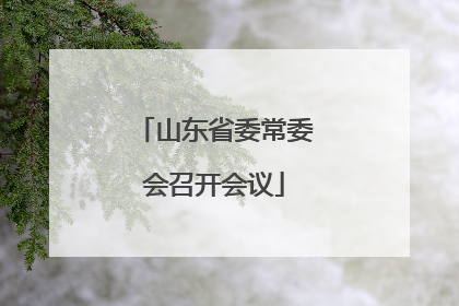 山东省委常委会召开会议