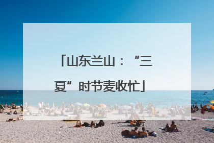 山东兰山：“三夏”时节麦收忙