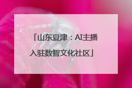 山东夏津：AI主播入驻数智文化社区
