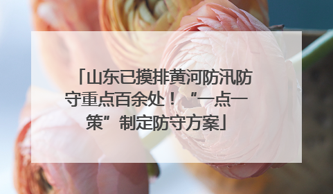 山东已摸排黄河防汛防守重点百余处！“一点一策”制定防守方案