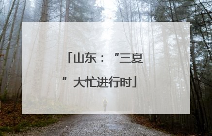山东：“三夏”大忙进行时