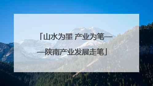 山水为墨 产业为笔——陕南产业发展走笔