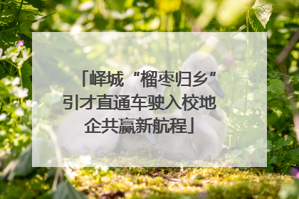 峄城“榴枣归乡”引才直通车驶入校地企共赢新航程