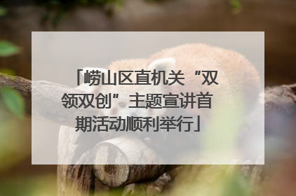 崂山区直机关“双领双创”主题宣讲首期活动顺利举行