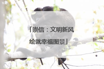 崇信：文明新风绘就幸福图景