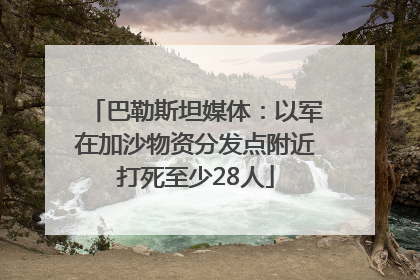 巴勒斯坦媒体：以军在加沙物资分发点附近打死至少28人