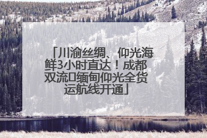 川渝丝绸、仰光海鲜3小时直达！成都双流⇌缅甸仰光全货运航线开通