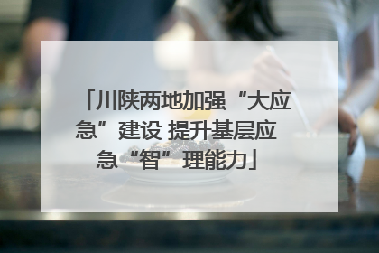 川陕两地加强“大应急”建设 提升基层应急“智”理能力