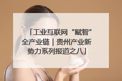 工业互联网“赋智”全产业链｜贵州产业新势力系列报道之八