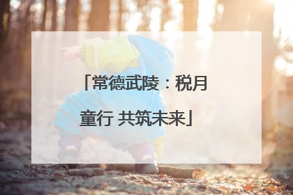 常德武陵：税月童行 共筑未来