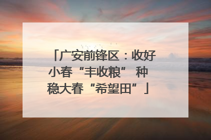 广安前锋区：收好小春“丰收粮” 种稳大春“希望田”