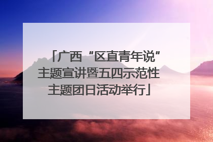 广西“区直青年说”主题宣讲暨五四示范性主题团日活动举行
