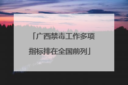 广西禁毒工作多项指标排在全国前列