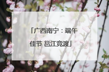 广西南宁：端午佳节 邕江竞渡