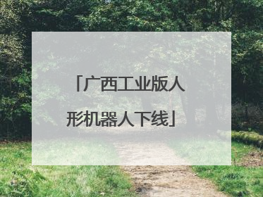 广西工业版人形机器人下线
