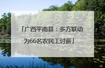 广西平南县：多方联动为66名农民工讨薪