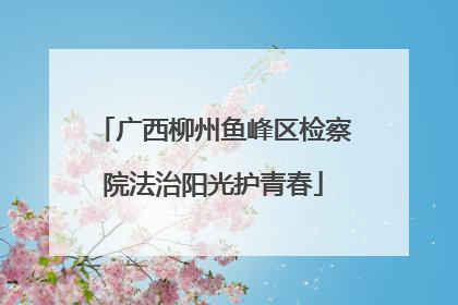 广西柳州鱼峰区检察院法治阳光护青春
