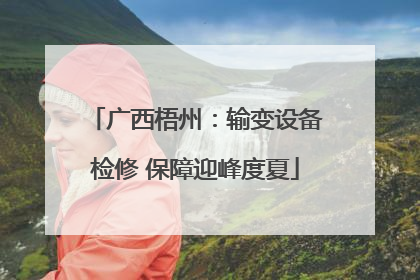 广西梧州：输变设备检修 保障迎峰度夏