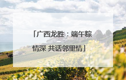 广西龙胜：端午粽情深 共话邻里情